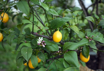 Similar image 21675572