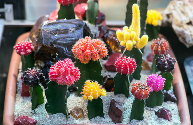 Similar image 21675575