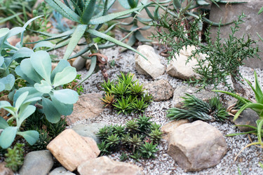 Similar image 21675582