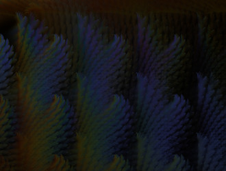 Similar image 21675933