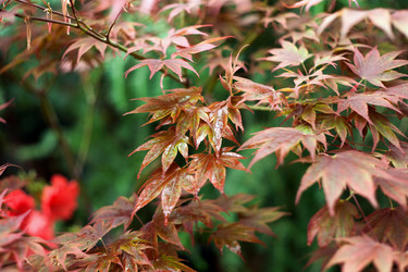 Similar image 21675935