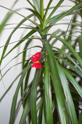 Similar image 21675940