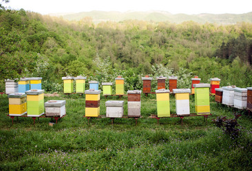 Similar image 21675941