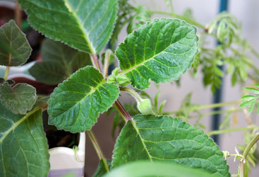 Similar image 21675946