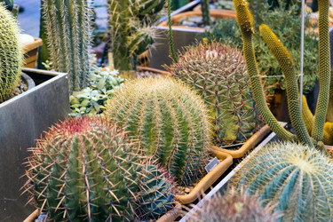 Similar image 21675951