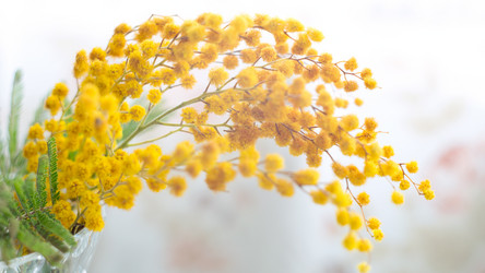 Similar image 21675953