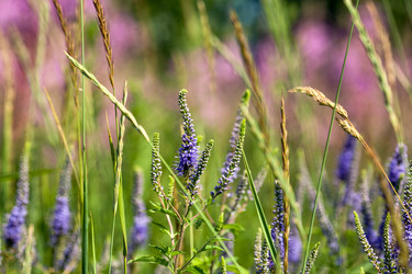 Similar image 21675957