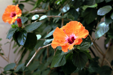 Similar image 21675962