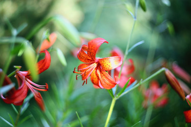 Similar image 21675963