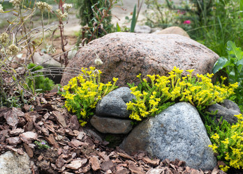 Similar image 21675966