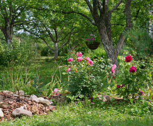 Similar image 21675969