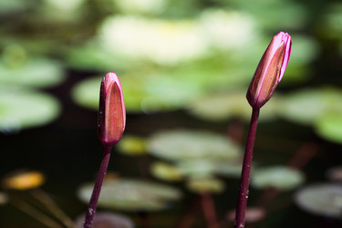 Similar image 21675971