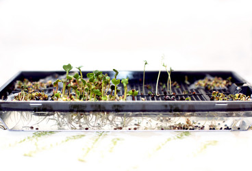 Similar image 21675977