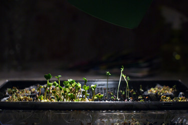 Similar image 21675978