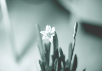 Similar image 21675996