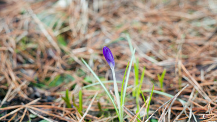 Similar image 21675999