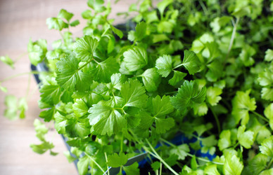 Similar image 21676006