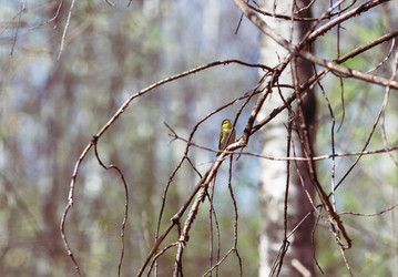 Similar image 21676007