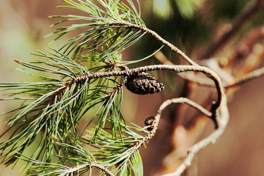 Similar image 21676008