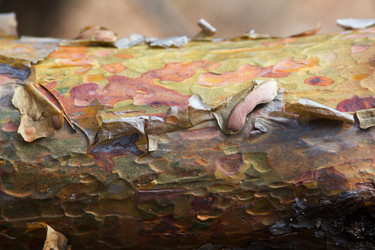 Similar image 21676009