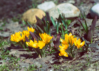 Similar image 21676010