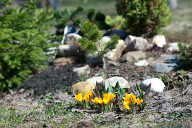 Similar image 21676011