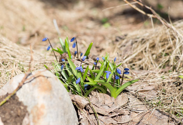 Similar image 21676012