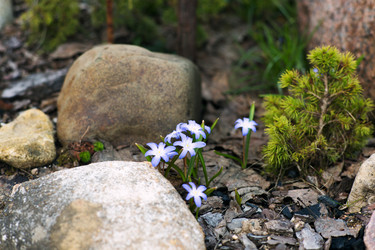 Similar image 21676013