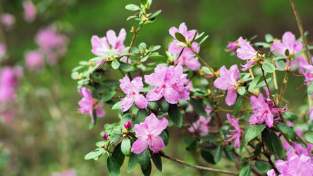 Similar image 21676018