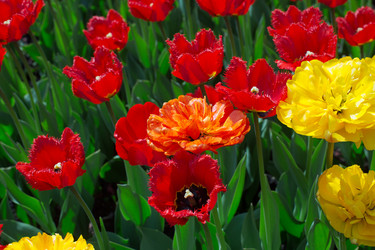 Similar image 21676023