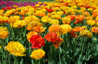 Similar image 21676024