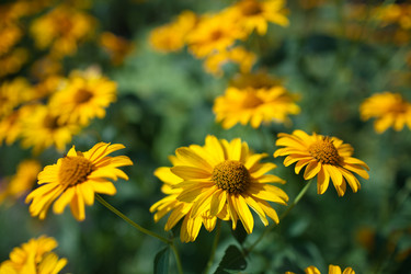 Similar image 21676029