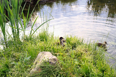 Similar image 21676031