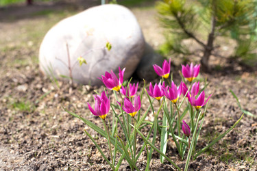 Similar image 21676034