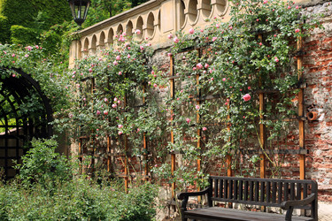 Similar image 21676040