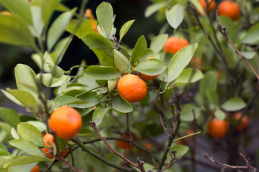 Similar image 21676041