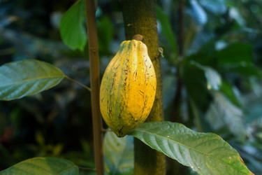 Similar image 21676042