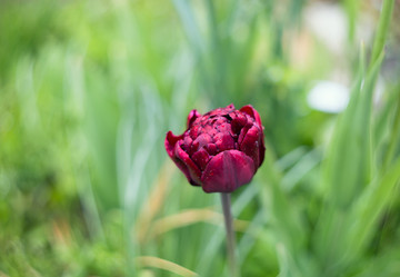 Similar image 21676048