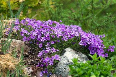 Similar image 21676050