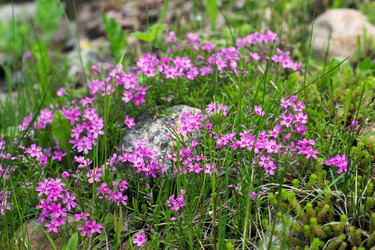 Similar image 21676051