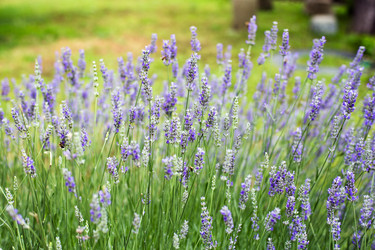 Similar image 21676054