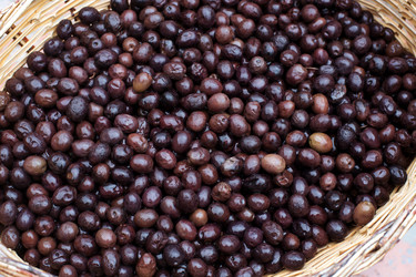 Similar image 21676055