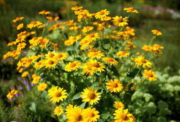 Similar image 21676071