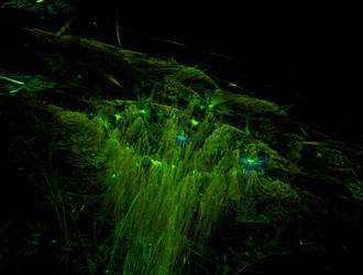 Similar image 21676825