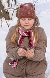 Similar image 21678442