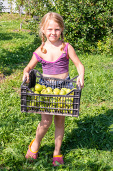 Similar image 21681687