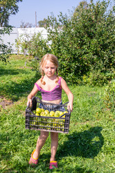 Similar image 21681688