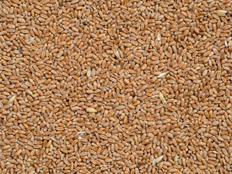 Similar image 21675230