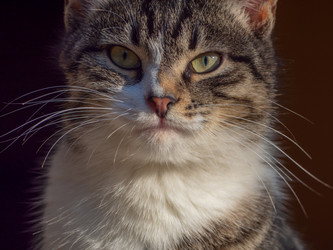 Similar image 21675231