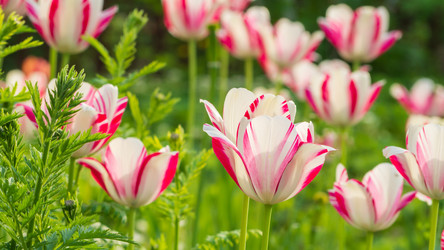 Similar image 21675232